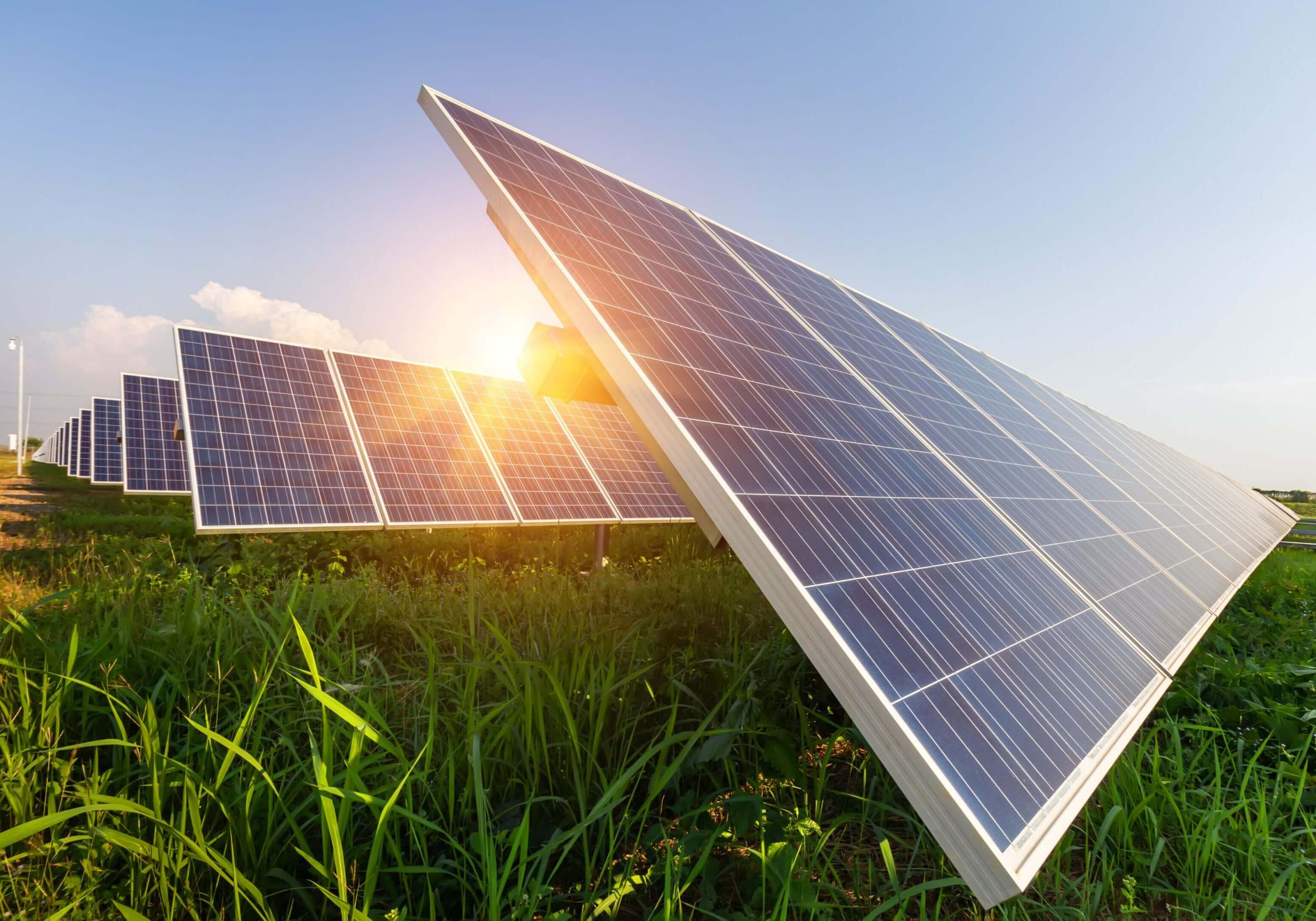A couple of solar panels sitting in the grass.